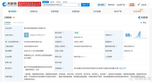 菜鳥網(wǎng)絡(luò)再布局物聯(lián)網(wǎng)賽道，同日成立兩家技術(shù)公司聚焦信息服務(wù)